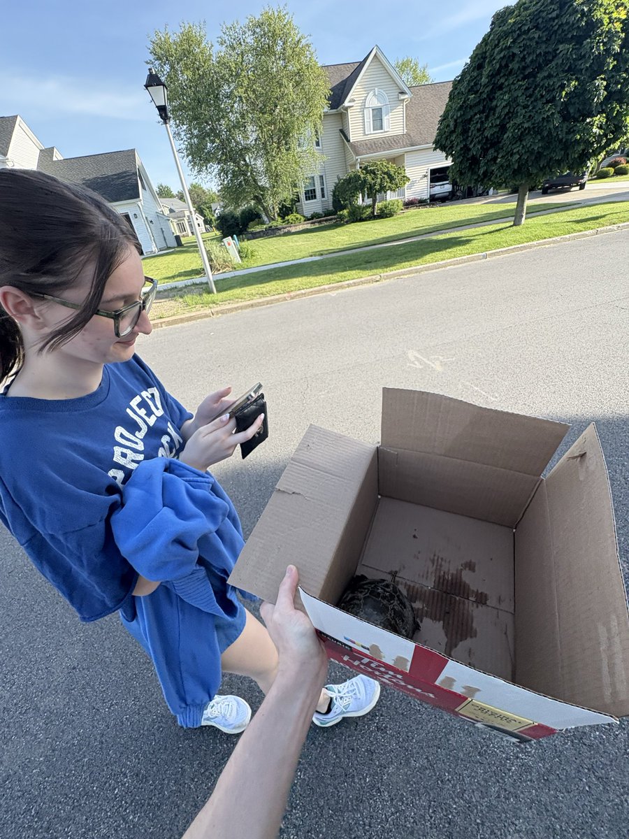 PotsieUHC's tweet photo. Meet Clancy the turtle. He was trying to get run over in traffic when we found him. Happy to report he's back at the local pond. Thanks for peeing on my shirt buddy https://t.co/ARjmbkVtRh