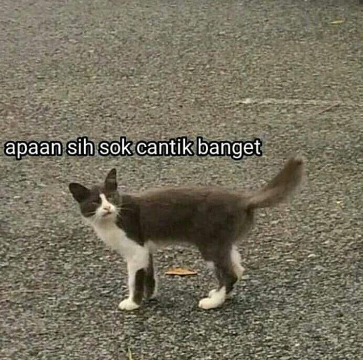 recxkaiii's tweet photo. @txtdrkeylie @AIS_JOGJA https://t.co/EEwGqj3ATu