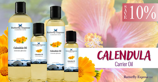 BEessentialoils's tweet photo. The soothing, restorative properties of Calendula Carrier Oil support a healthy scalp and skin while deeply nourishing for stronger-looking hair and nails.

https://t.co/FEWJCN8Fow
#ButterflyOils #EssentialOils #June2026 #Hair #Nails https://t.co/wKJ5r8jHQy