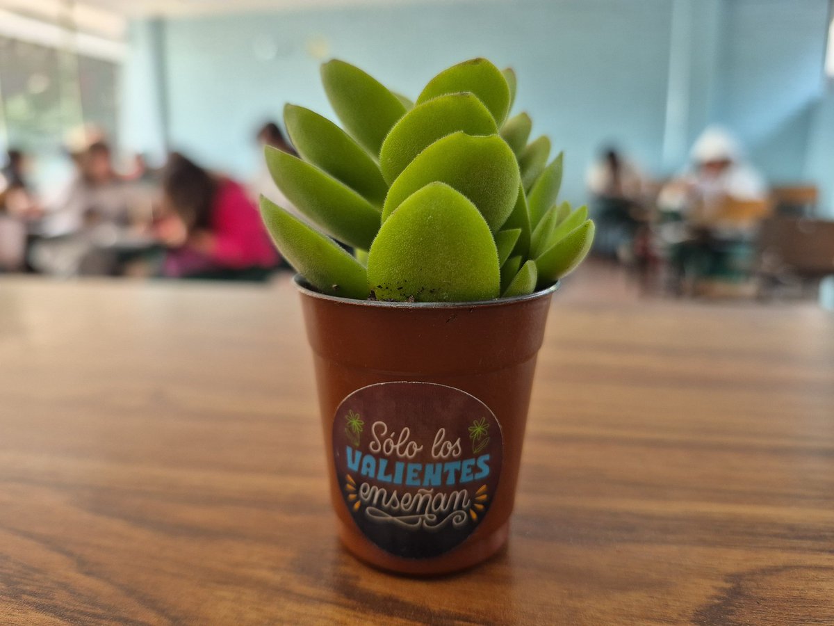Ramirocker's tweet photo. 🧑🏻‍🏫 https://t.co/p4BCx2HzsF