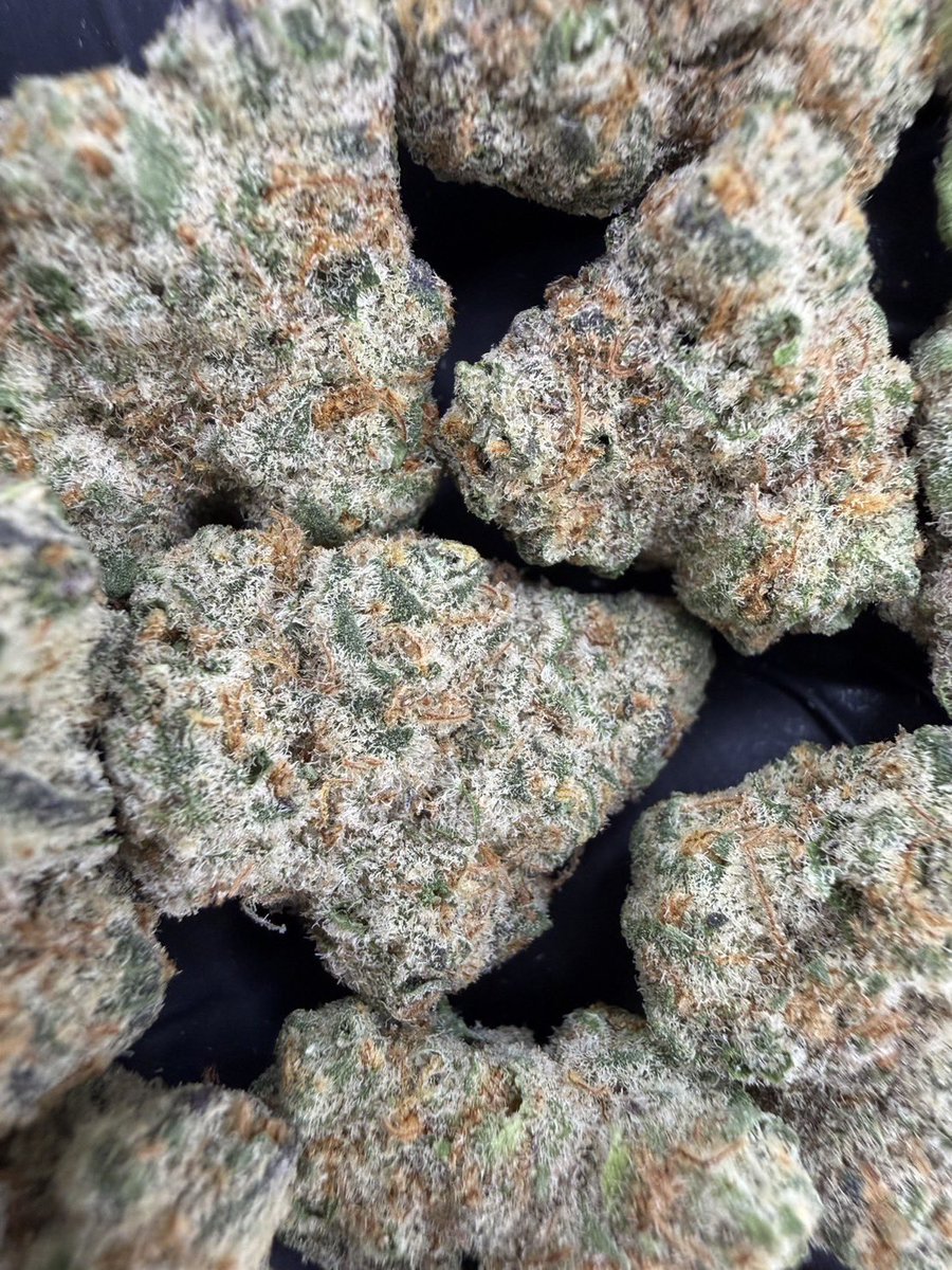 HippieB000's tweet photo. Sweet Zombie 🍬🧟
Indica 🌙
THC ≈ 27%
Size : Pop
Aroma : 🍬 Sweet · 🌿 Herbal · 🌱 Earthy · ⛽ Light Gas
dm me 💬 👇🏻
➡️ https://t.co/w9rFRG87OQ
#กัญชา #weed #กัญชากรุงเทพ #OG #สายเขียว #cannabis #กัญชาส่งGrab https://t.co/Jfe7OVv6sU