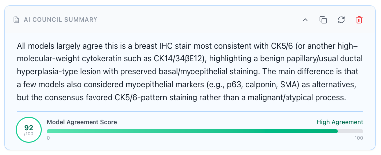 MedicalSphereAI's tweet photo. @Sohayla_Yaseen We tested a few AI models on this case to see what they say, how did they do?! 🤔

🔗 Full case: https://t.co/DxBZOpGmJr https://t.co/nJwjBpBo9l