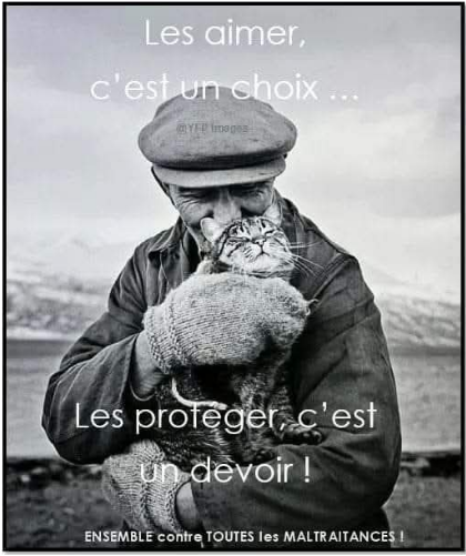 amanda_npo's tweet photo. RT svp https://t.co/sS11TleNBt
