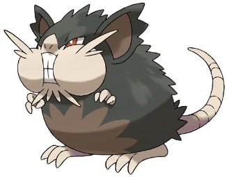 TOUHOU_UDON's tweet photo. 以前、私は「ラッタ進化して【オオラッタ】とかになったりしないかな」なんて言っていましたが

アローララッタがオオラッタみたいなものですねw

もしかして、元々ラッタの進化系として考えられていた姿がアローララッタになったとかなのかな…？

こう考えるとラッタ追加進化は出ないのかもしれない https://t.co/zlp9ioo6p9
