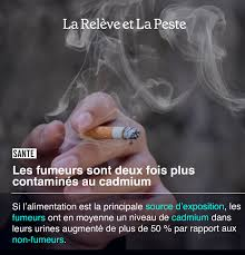 jyves94's tweet photo. @SimonnetDeputee Tous les fumeurs sont contaminés !

L'affaire du cadmium tourne au tsunami désinformationnel

Aucun média n'ose pointer le principal problème posé par le cadmium : sa concentration élevée dans le tabac et dans la fumée qu'inhale les fumeurs

https://t.co/sSdH2IlZvN https://t.co/f94GVDmYWM
