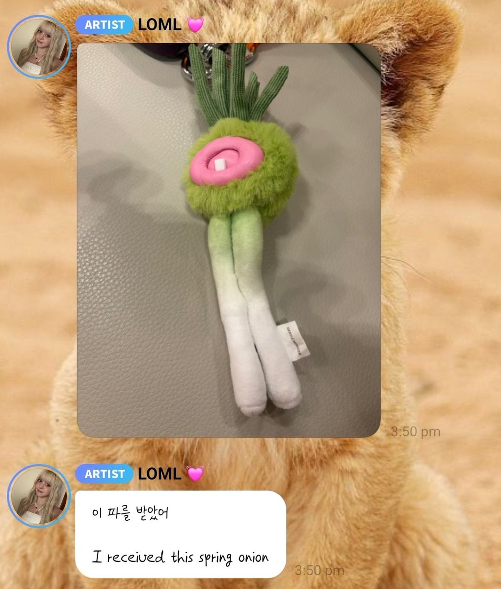 sapphicxswift's tweet photo. who gifted lily a spring onion plushie (she doesn't like onions) 😭 haewon being the good wife she is took it for her https://t.co/tESwn0K12w