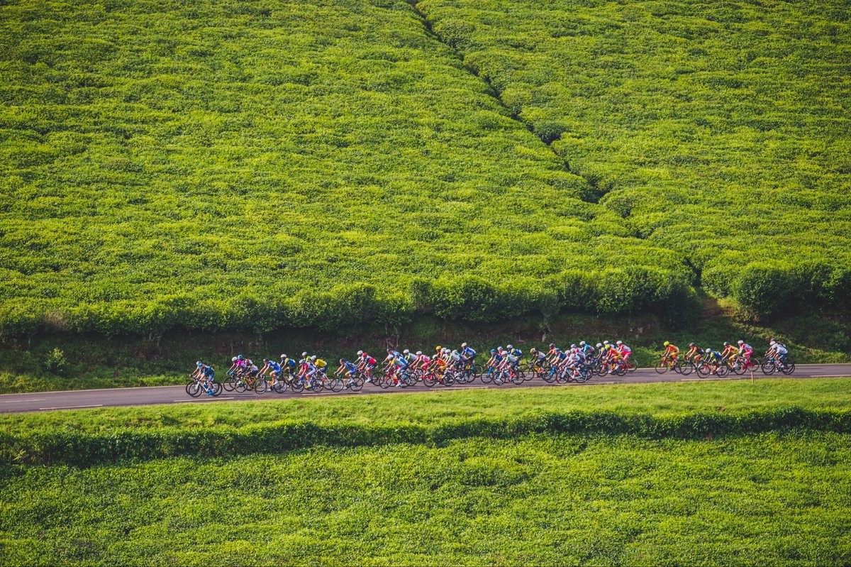 Rwanda_Sports's tweet photo. On this World Bicycle Day, we celebrate more than a sport. A cycling is a lifestyle, one that promotes health, sustainability, and connection. From grassroots cycling and the iconic @tour_du_Rwanda to the historic UCI Road World Championships 2025, every pedal stroke tells a story of growth, passion, and ambition.

🚴‍♂️ Happy World Bicycle Day!

#WorldBicycleDay #RwandaSports