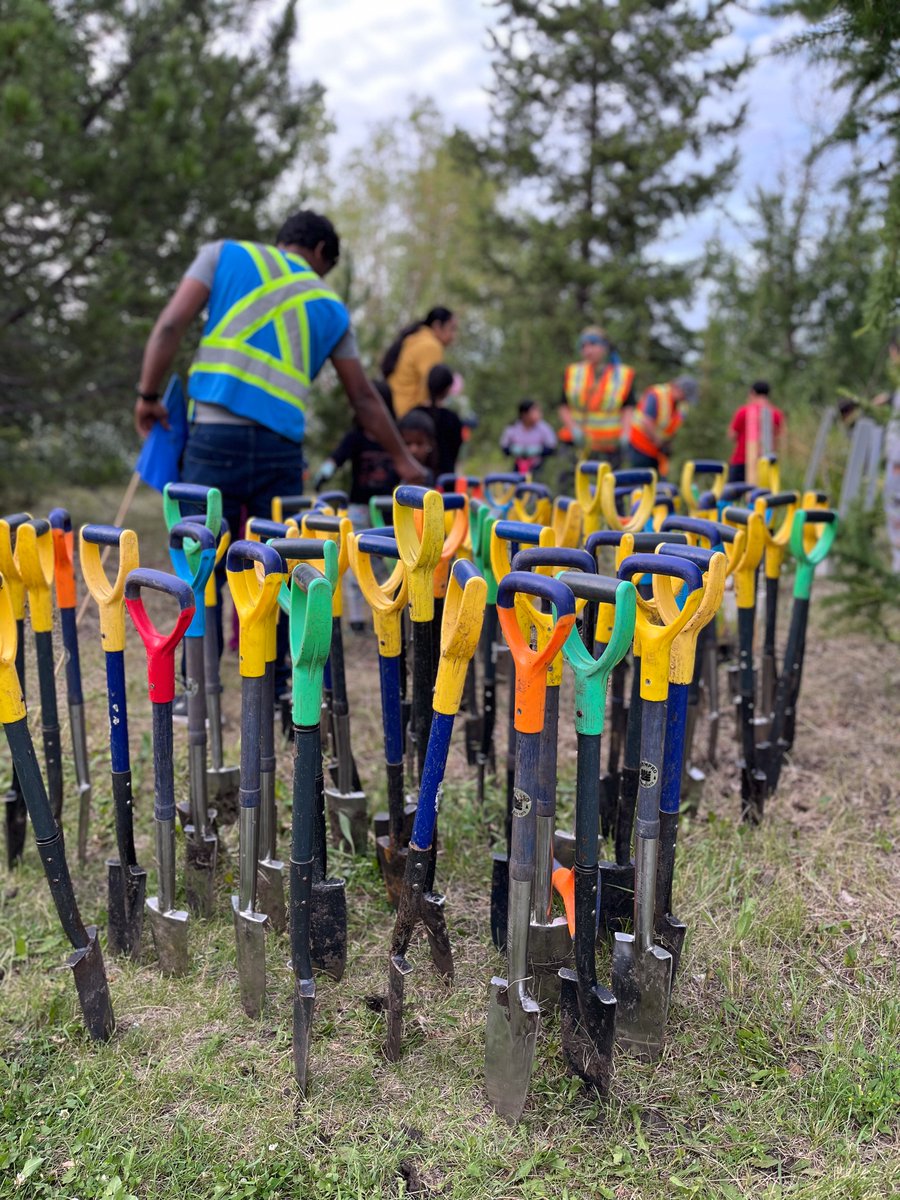NatureAlberta's tweet photo. 🌱Dig up some fun with Nature Alberta, Root for Trees, and Invasive Plant Outreach!
🌳Join us for tree planting, invasive weed pulling, citizen science walks, and more!
https://t.co/XhP6LQgUsJ
📸Loreena Nieuwnehout https://t.co/VBdedM0tBv