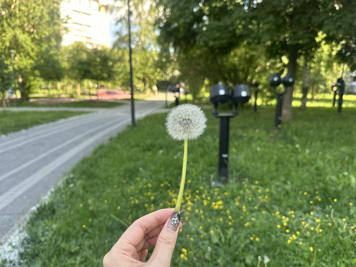 domntm's tweet photo. The dandelion fluff looks just like powdery snow. https://t.co/xx5cYehcf0