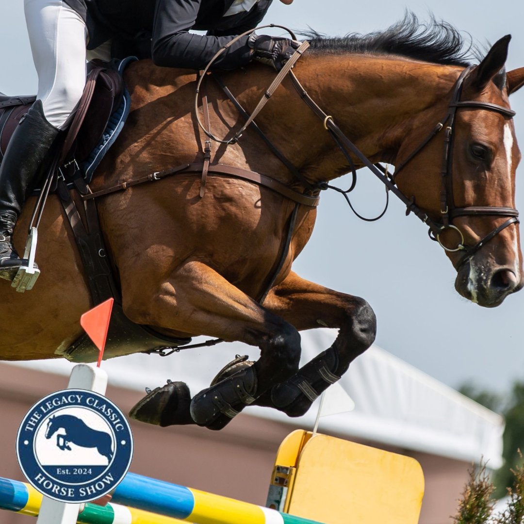Odlum_Brown's tweet photo. The Legacy Classic Horse Show is bringing world-class equestrian sport to Saanich this weekend. We are proud to be a sponsor and wish all competitors a brilliant weekend of competition. https://t.co/wBepMwunFj