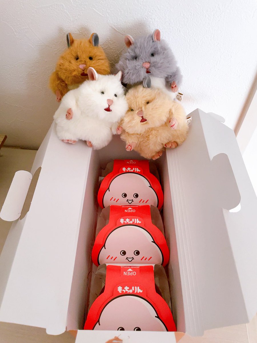 mashatomiki0206's tweet photo. 1グループ3個まで🍩
#もっちゅりん
#はむにぎり https://t.co/ukXWPLJF9O