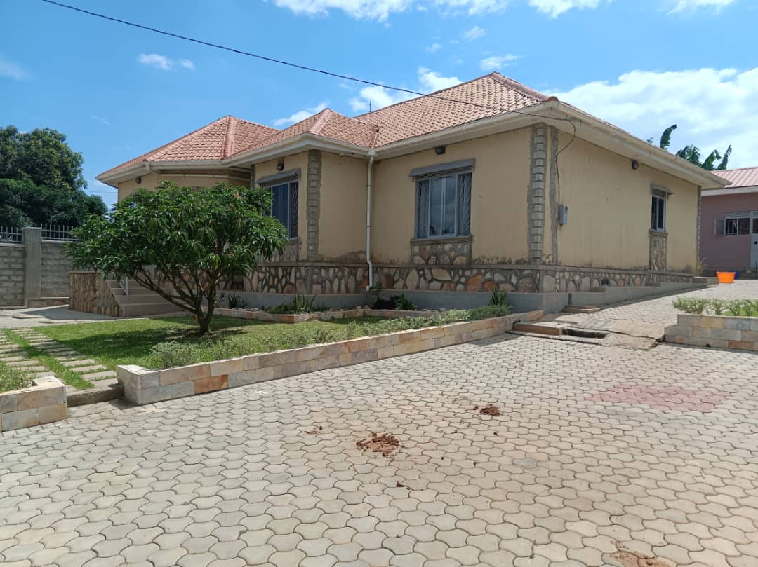 shukranproperty's tweet photo. HOT DEAL OF THE WEEK
 
Country Home For Sale 

Located at Namugongo Kiwango Jomayi Estate

#4bedrooms #3bathrooms &amp; 4 boy's quarters

Seated on Half Acre ~ #50Decimals

Ready private Mailo land title

Selling at only #170m Ugx 

0706592177 https://t.co/YJQqA1XaID