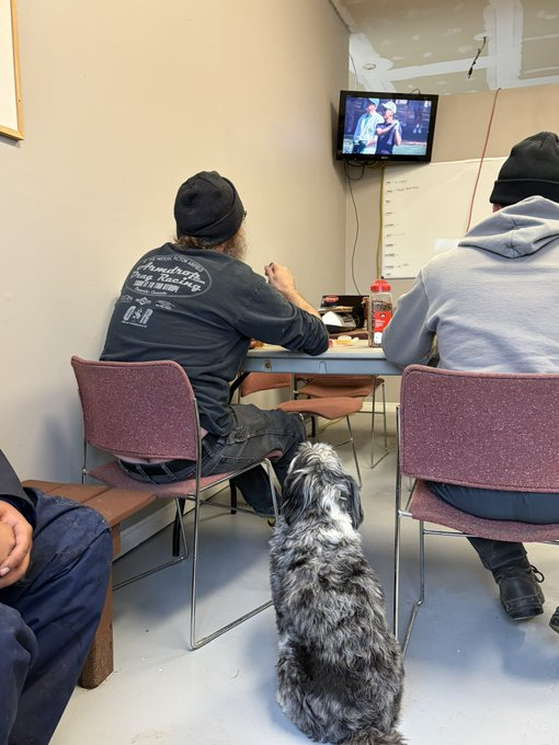 TomForsythe5's tweet photo. @les8thomas @MillRunGC @DogsOfTurf The don't feed Loki in the break room guy? 😂 https://t.co/eSjNcnJ0f7