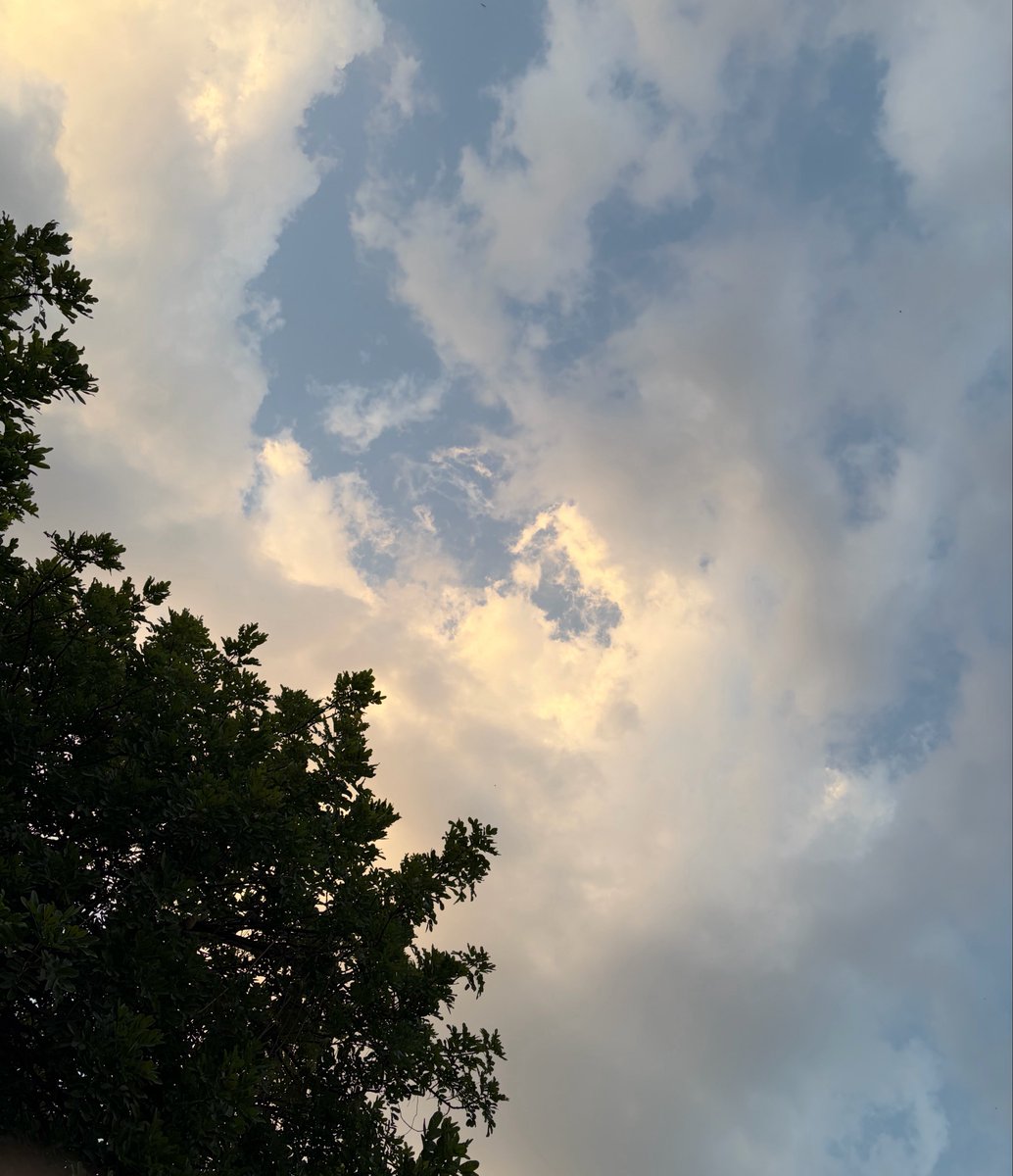 sierraoperator's tweet photo. veer bhogya vansundhra ☀️ https://t.co/IPlagCmA2Y