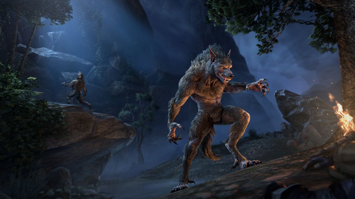 TESOnline's tweet photo. Tamriel’s lycanthropes are getting a fresh new set of claws, among other monstrous upgrades, with the new Werewolf refresh arriving in Update 50! 🐺 https://t.co/v5zaHB24dJ https://t.co/gpCXz6lwbY