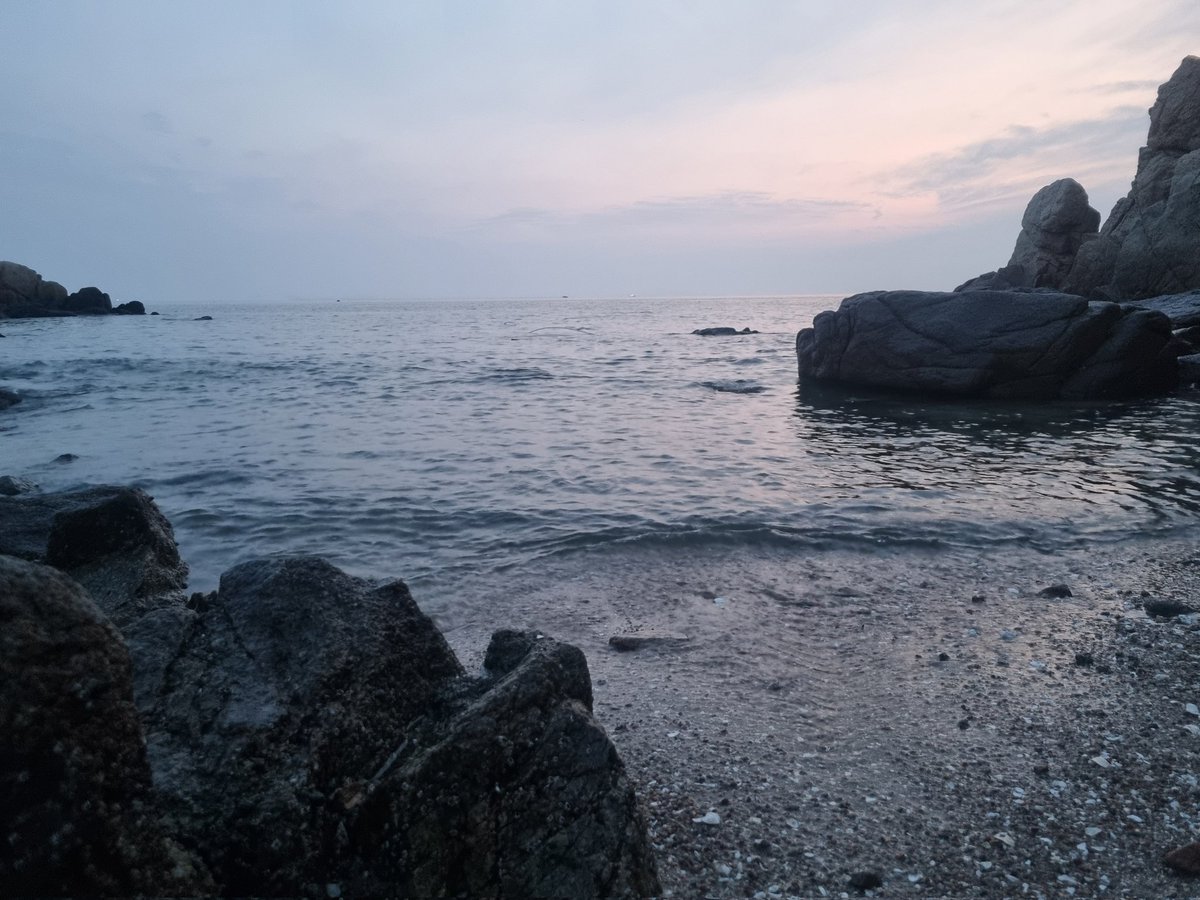 새벽보라 tweet media