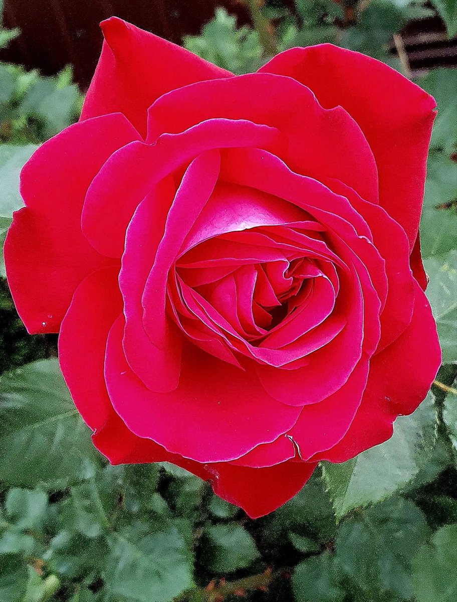 hpPz5QHq7dV3hPj's tweet photo. @Tanolim33 https://t.co/ef22tnaDKm