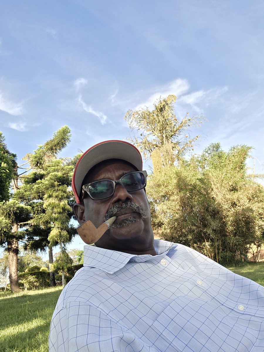 sejudav's tweet photo. Greetings from the Bushes....🖐 https://t.co/bjW3v34BVE