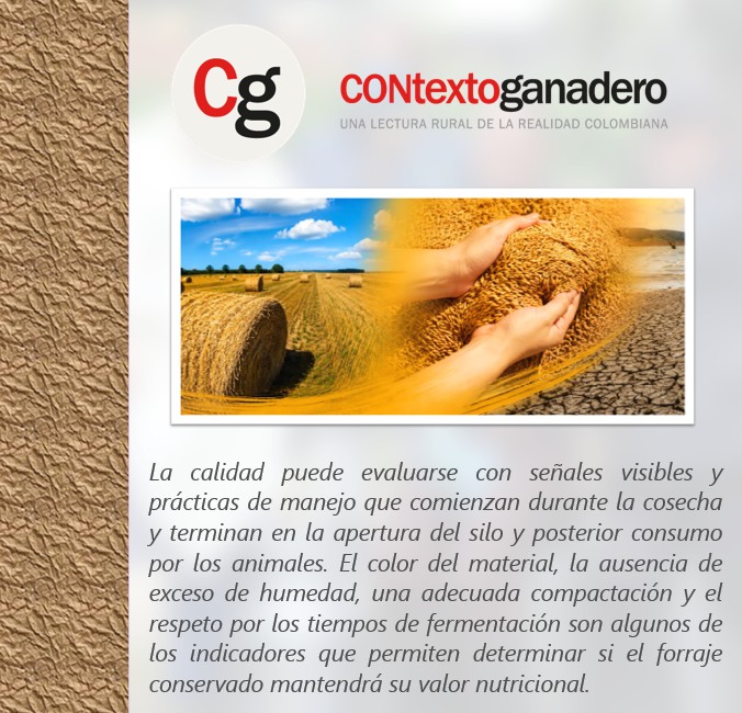 PlGranada's tweet photo. Color, compactación y tiempo: lo que necesita para saber si un ensilaje quedó bien hecho. https://t.co/Kw76kh3DGX @Fedegan @jflafaurie @ContGanadero https://t.co/1XhWgxuopW