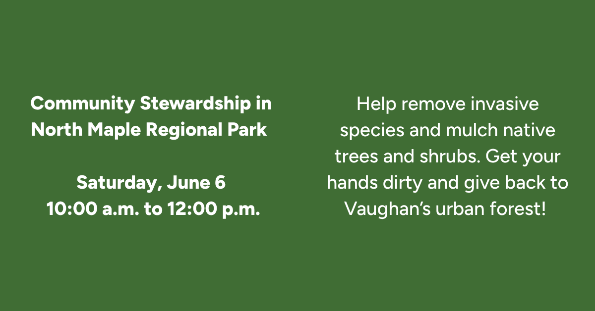 leaf's tweet photo. 🌳Last chance to sign up! Join us at North Maple Regional Park to remove invasive species &amp; mulch native trees &amp; shrubs on Sat, June 6 from 10AM to 12PM.

Sign up: https://t.co/2UMuDj3wos.

This event is supported by @CdnTreesforLife &amp; @City_of_Vaughan https://t.co/92ozEHXEry