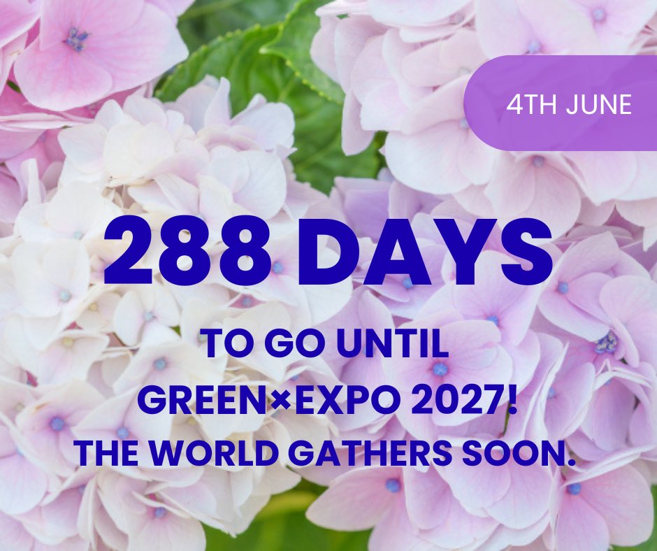 🌍288 Days to Go! The World Gathers Soon. 