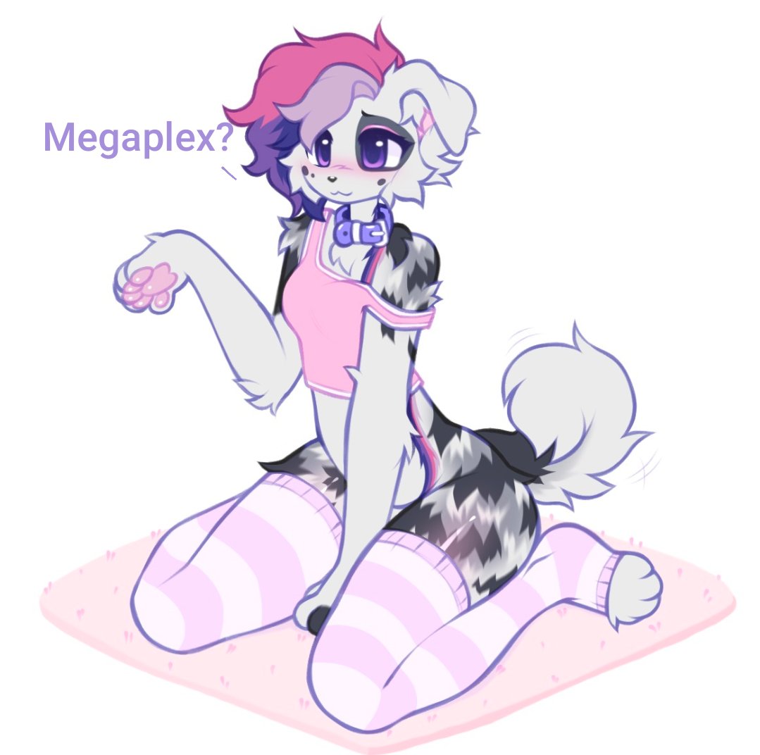 zoeydogy's tweet photo. Do any friends have space for a dog in their megaplex room https://t.co/Se2xJkeNXe