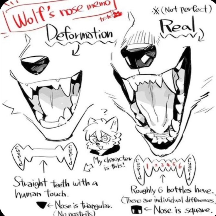 pinkubeauty's tweet photo. A strong jaw structure brings the wolf to life
Refine the anatomy to enhance the realism. https://t.co/u9jJ9TYBl9