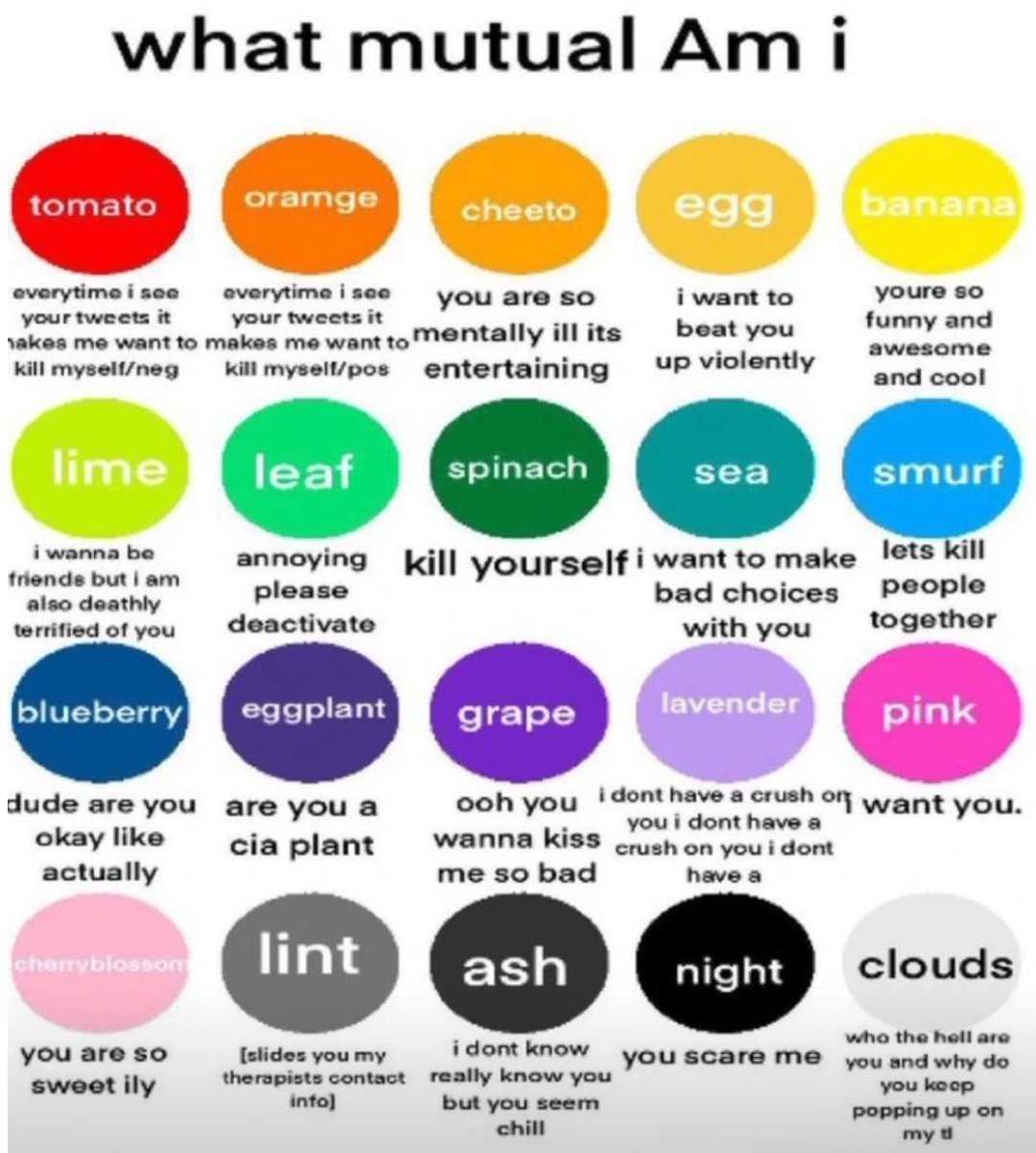 soup4 tweet media