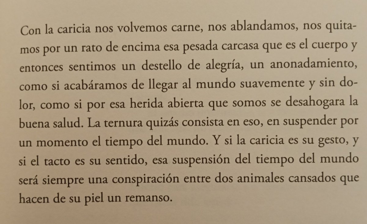 MFilosofal's tweet photo. Paz López, "Pánico y ternura" https://t.co/yNRimd8iHL