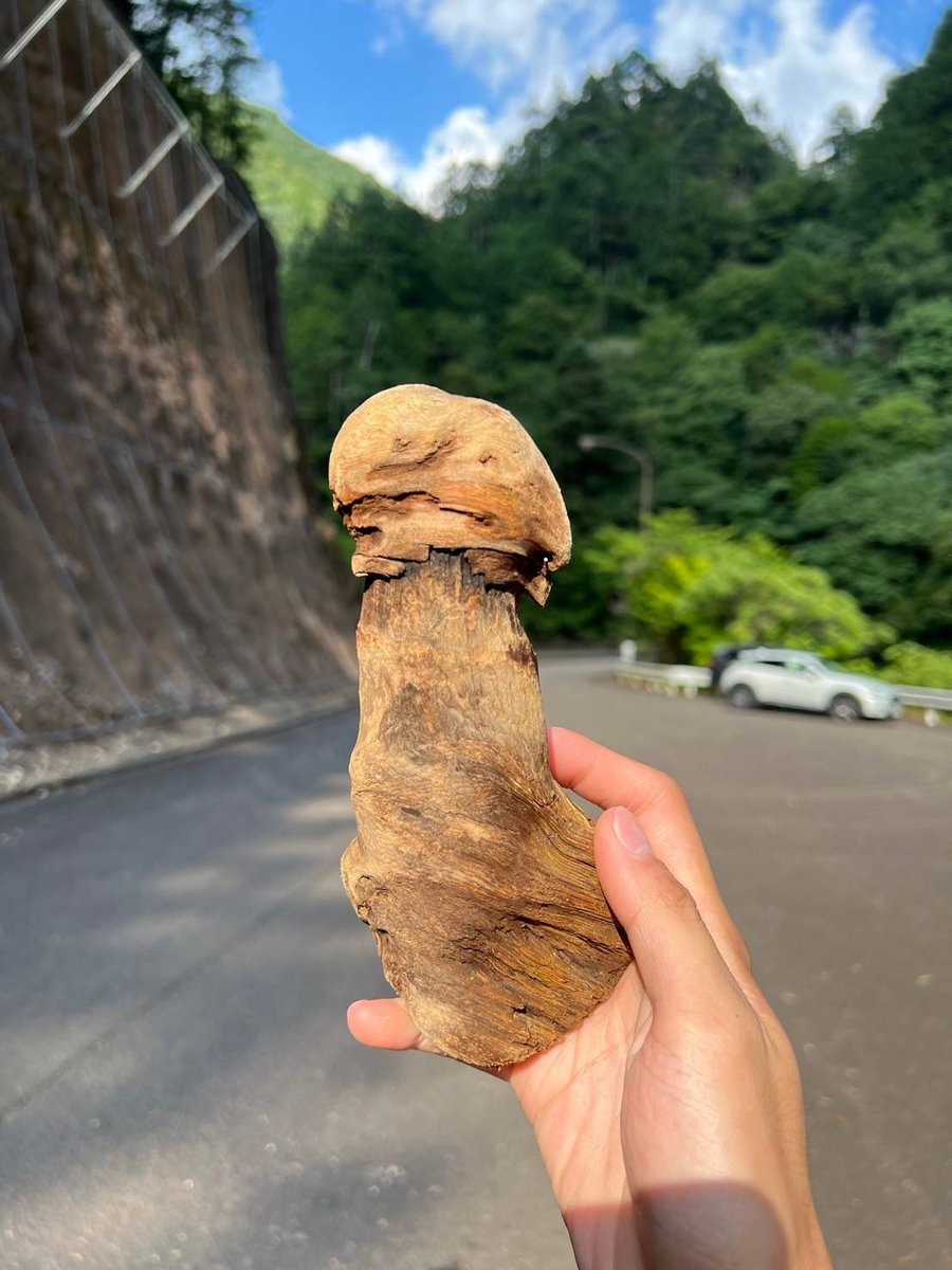 もちょり Post by もっちー on X: 勃木
