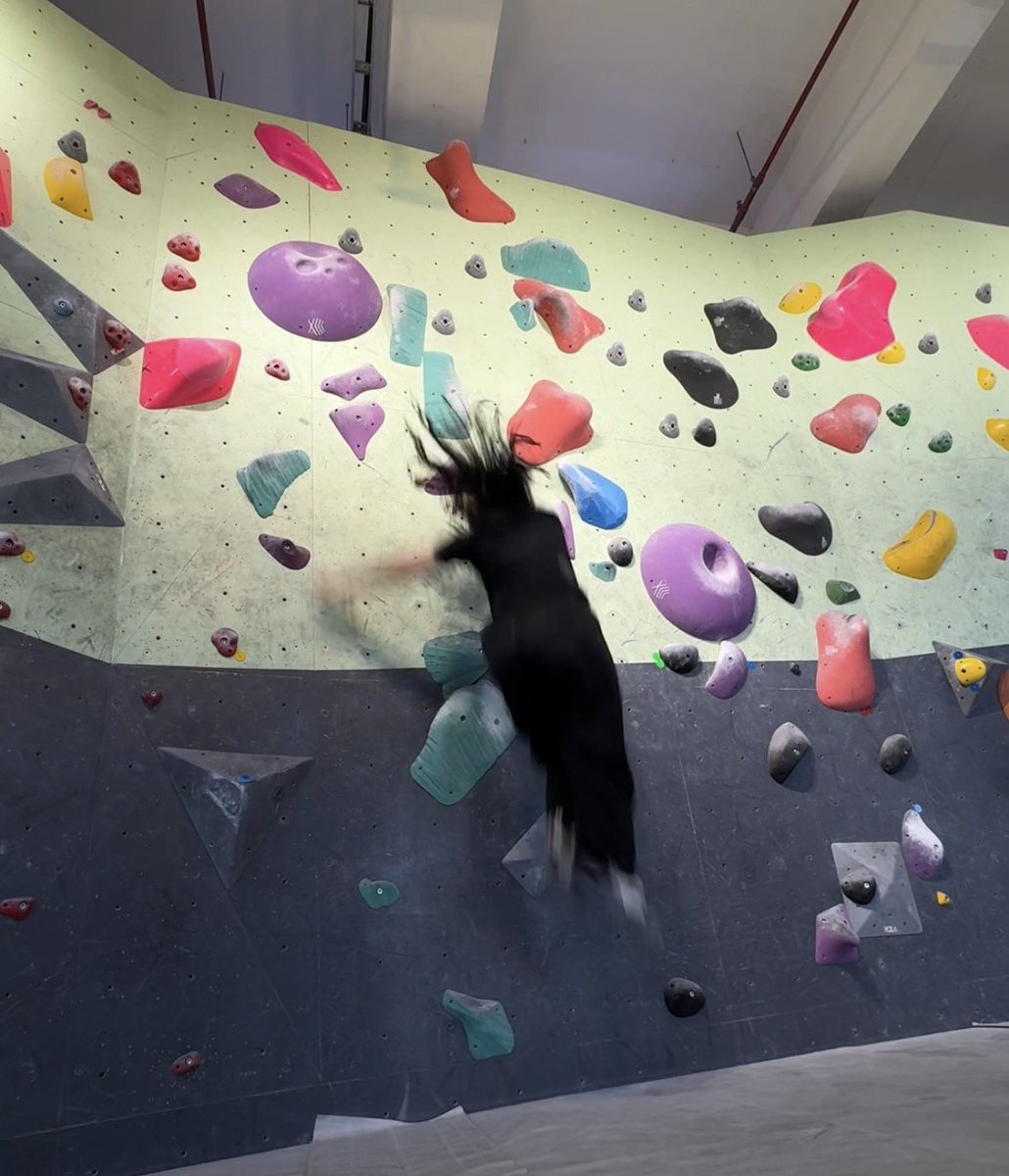 sguggn's tweet photo. i love #bouldering https://t.co/uKG57jtqig