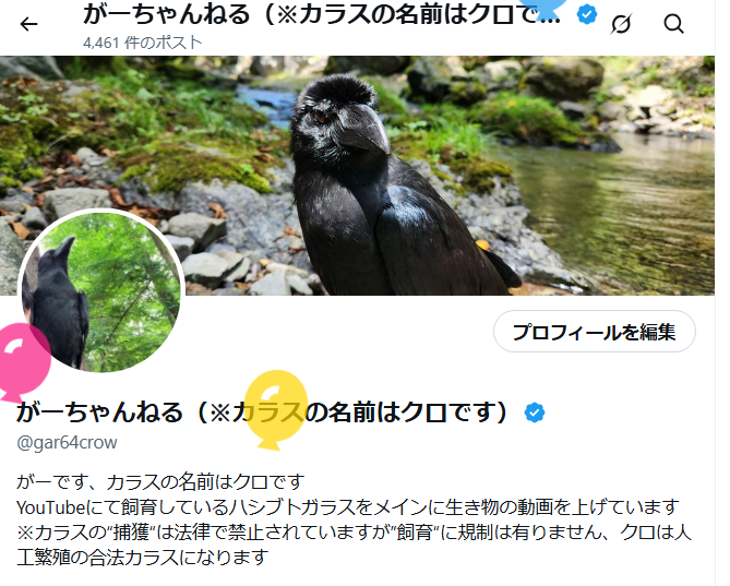 gar64crow's tweet photo. 生まれたらしい https://t.co/Hk58xrC0DX