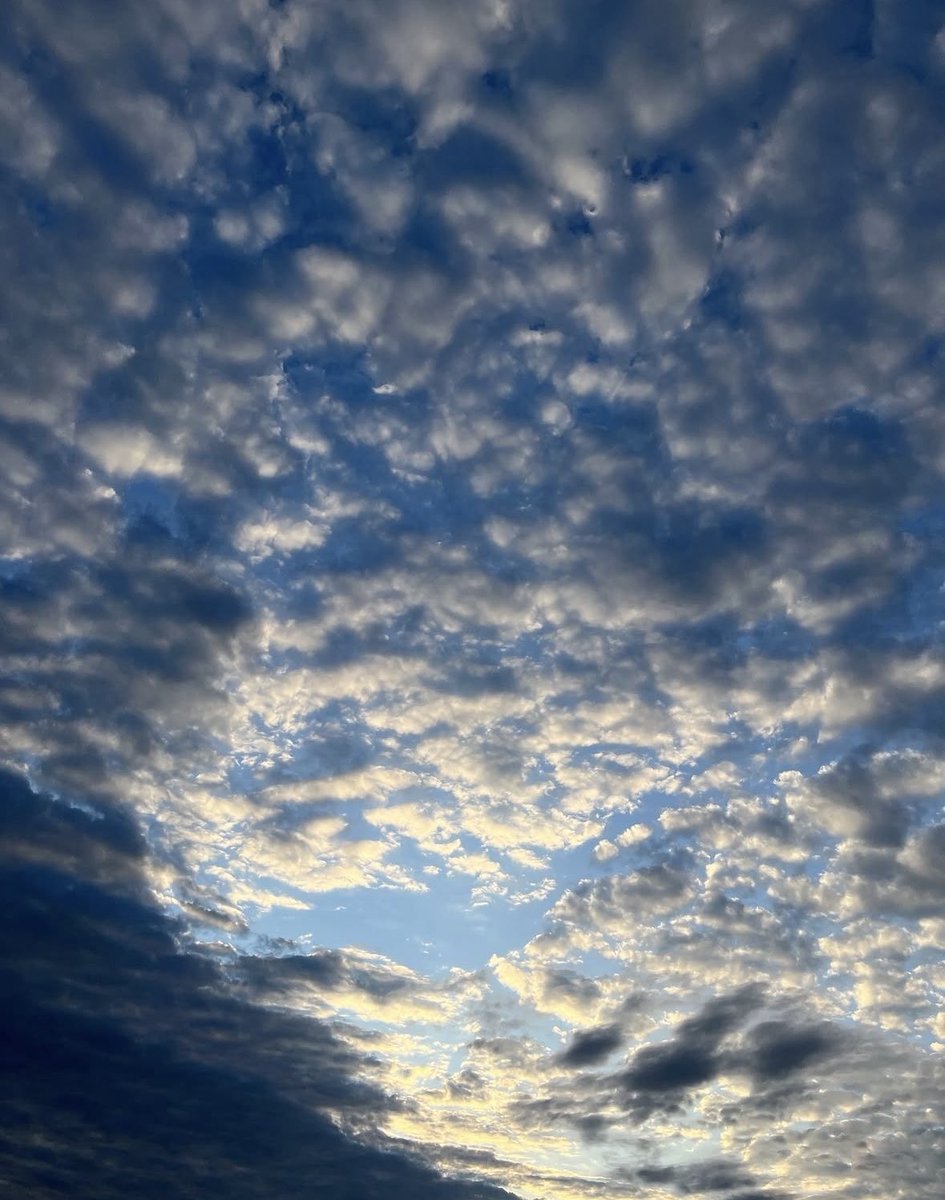 claudiarroyo08's tweet photo. "Eres mis buenos días, mi cielo azul, mi sol candente, eres tú mi más bonita bendición, eres tú lo más lindo al despertar, los latidos más fuertes, mi más dulce respiración, mi buena vibra, mi buena vida, eres tú...siempre".ca💜🙌🏼

Buenos días!! https://t.co/SuczCG9F1I