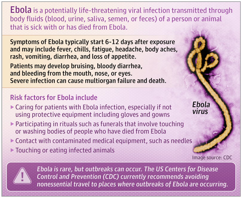 JAMA_current's tweet photo. #Ebola is a potentially life-threatening infection caused by a group of viruses known as orthoebolaviruses. 

Learn more in this JAMA Patient Page. https://t.co/3ckphsZQic https://t.co/6mhnKZVda5