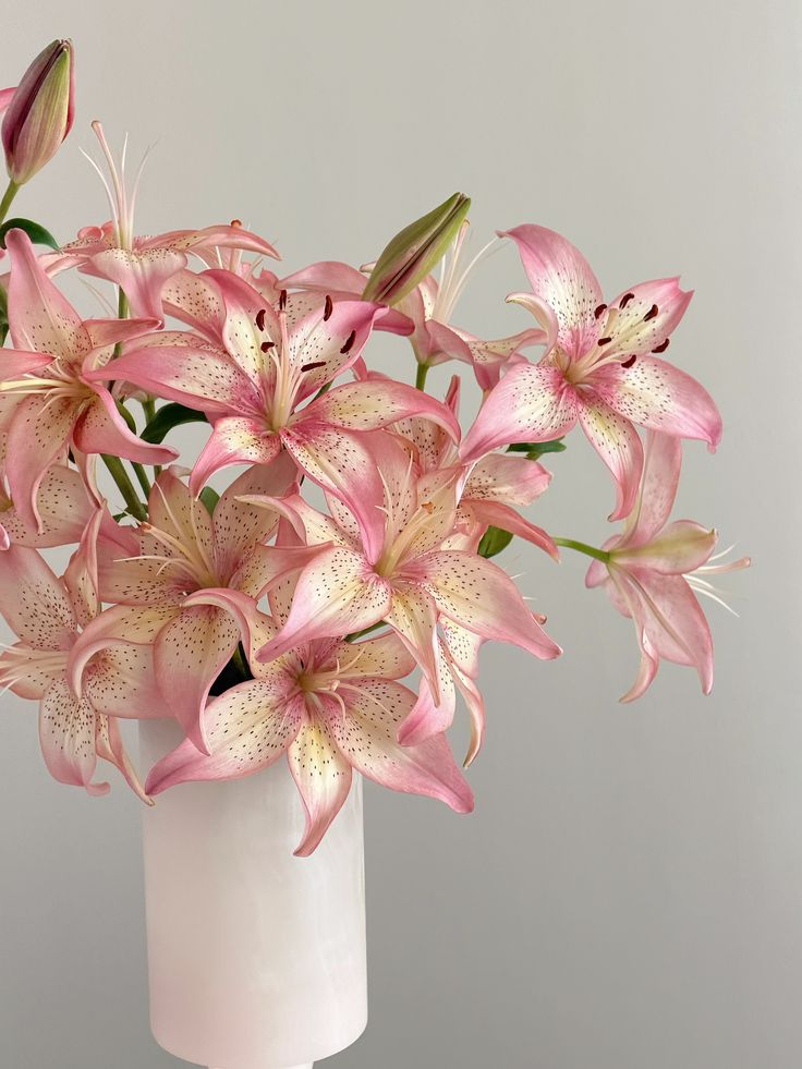 Flowerslovers44's tweet photo. https://t.co/Nymm6QKfeQ