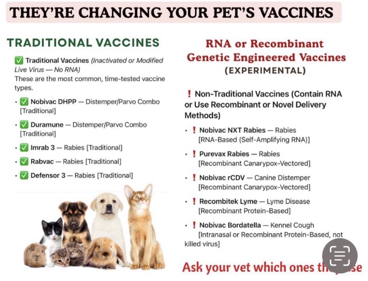 AlbertaShewolf's tweet photo. @thehealthb0t https://t.co/LoYrRgMtlQ
