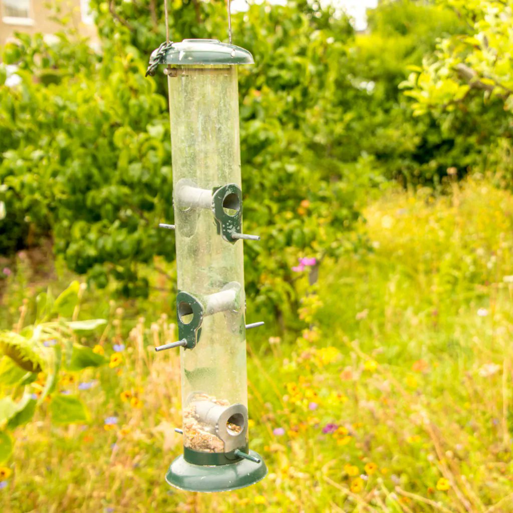 giveashitnature's tweet photo. Dirty bird feeders kill birds. They spread disease easily through entire flocks. If you're putting food out, do the birds a solid and clean your feeder every 2 weeks.

Empty out old seed and scrub the feeder with hot, soapy water. Next, soak the pieces in a solution of 1 part bleach to 9 parts water for 10 minutes. Rinse thoroughly to remove all chemicals, and let the feeder air dry completely before refilling

How often do you clean yours?