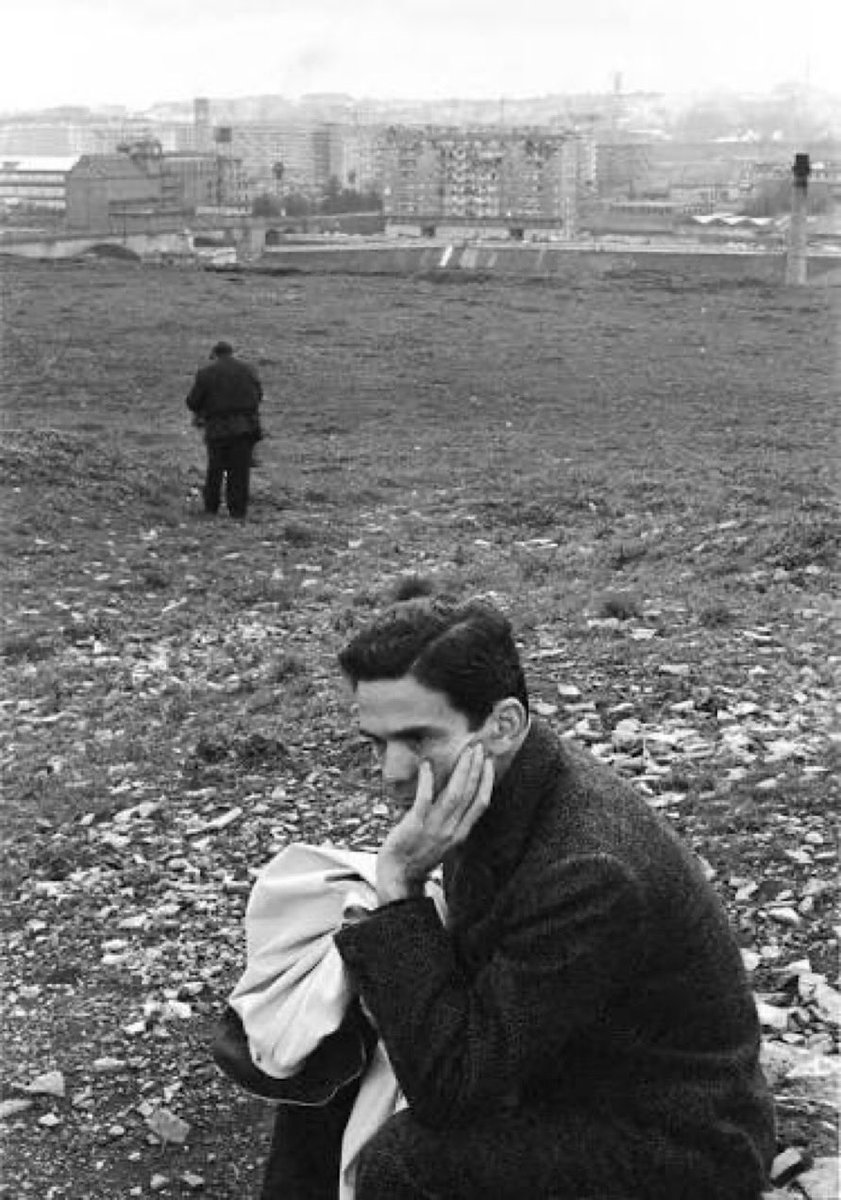 Alberto63Al's tweet photo. #PoesiaInFormaDiRosa 

Ho sbagliato tutto.
Sbagliava, spaurito al microfono,
con la prepotente incertezza del brutto,
del soave poeta, quel mio omonimo,
che ancora ha il mio nome.
Si chiamava Egoismo, Passione…

#Pasolini 
#SalaLettura https://t.co/Fqn5g3hkj1