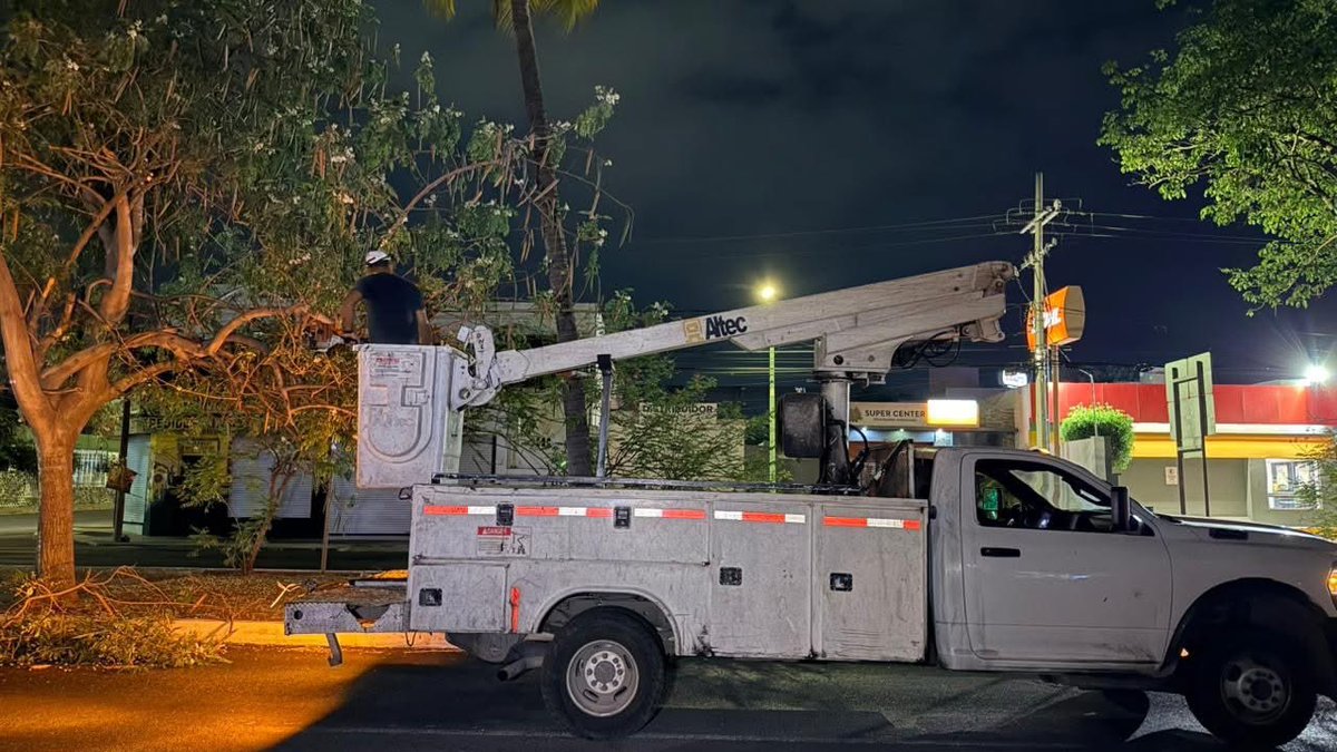 ColimaMunicipio's tweet photo. ¡De domingo a domingo #TrabajandoPorTi y por tu tranquilidad! 🌳✂️

Realizamos labores de poda de árboles sobre la Av. 20 de Noviembre, a la altura del Rey Colimán, para mejorar la iluminación de la vialidad y favorecer la visibilidad de las cámaras de videovigilancia. 💡 https://t.co/AdcWbWrQMZ