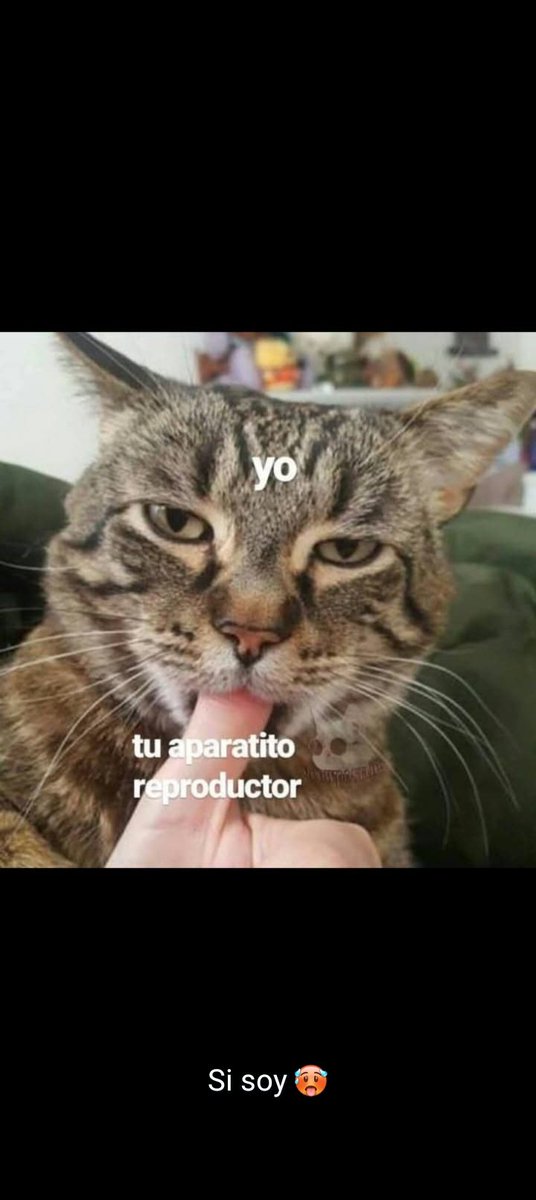 AttlaGR's tweet photo. Sii... https://t.co/i4VmyydjLo