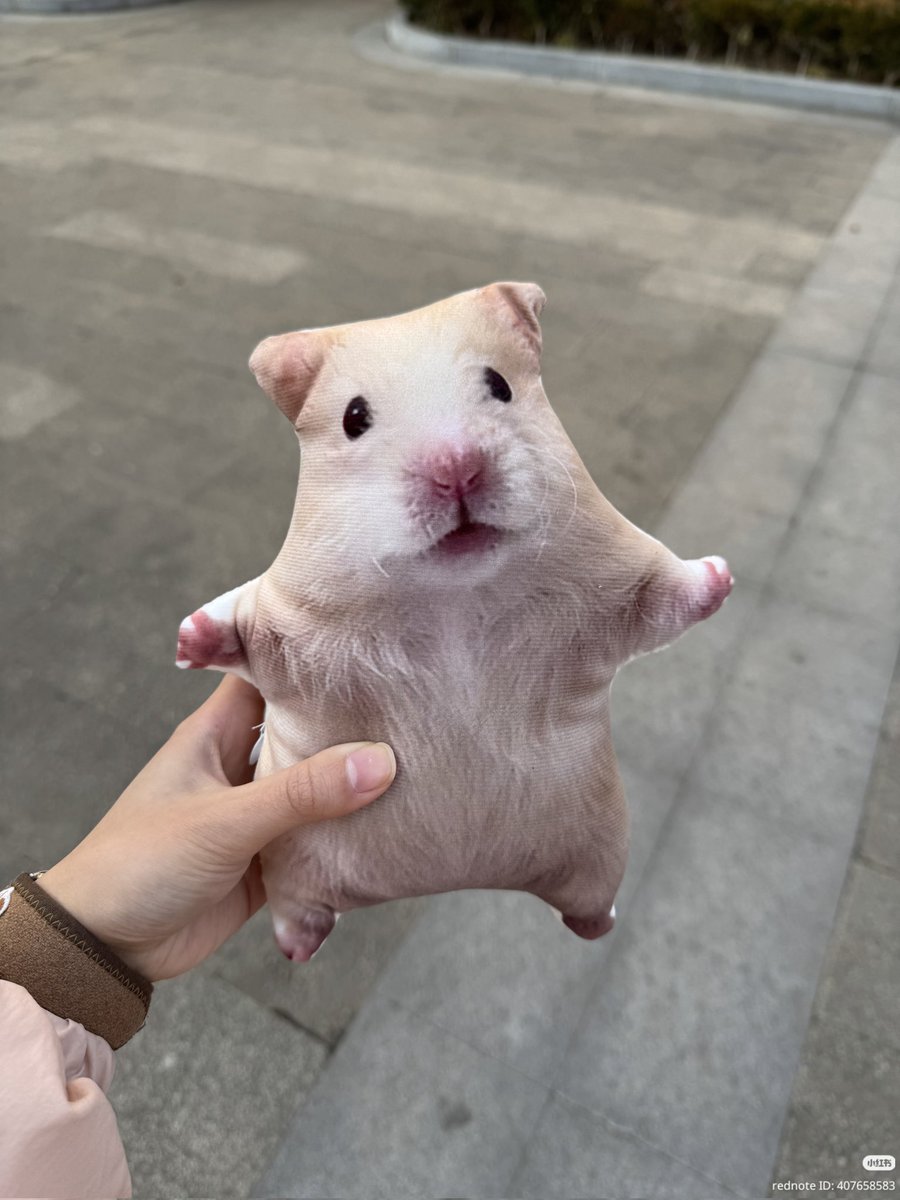 TweetsOfHamster's tweet photo. Need 🐹 https://t.co/PymoW9eGee