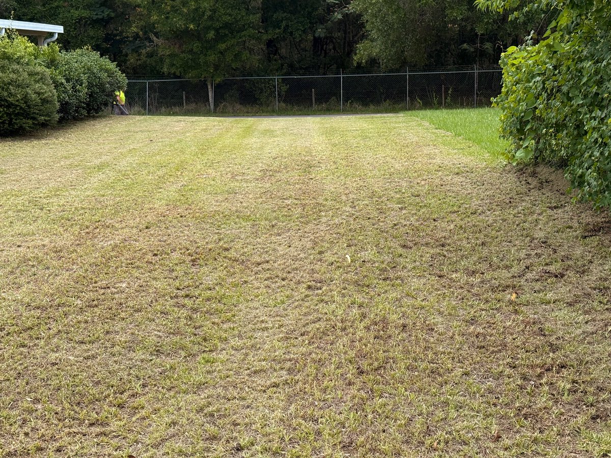 BARPSR's tweet photo. Florida weather is tough on your home’s exterior. 🌴☀️

If your siding, driveway, patio, or walkways are covered in dirt, algae, or mildew, we can help.

✅ House Washing
✅ Driveways
✅ Sidewalks
✅ Patios &amp; Lanais
✅ Free Estimates

Locally owned. Serving Ocala area. https://t.co/UL7k8rGUB9