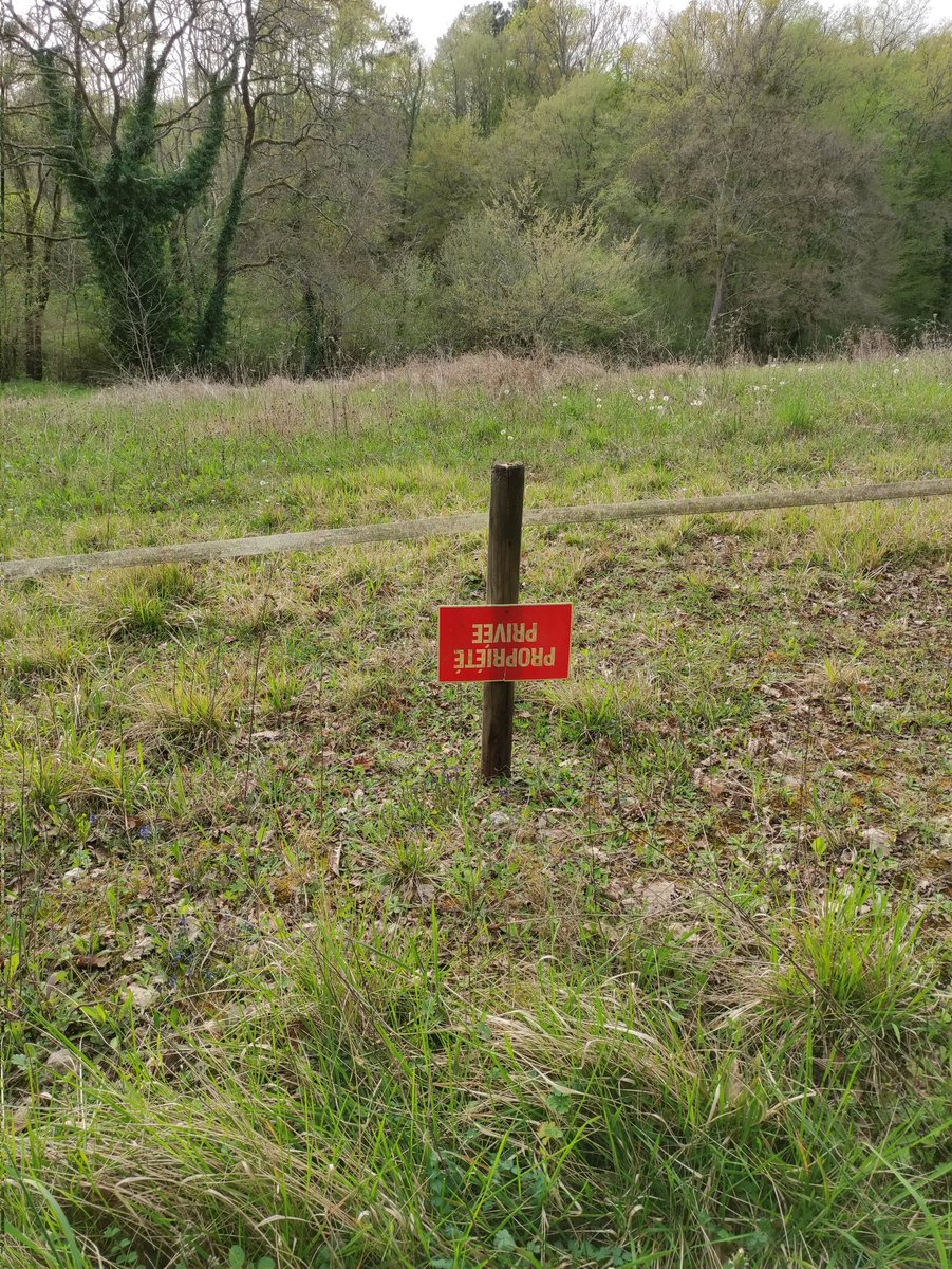 SimonBorderline's tweet photo. Quand tu crois que la sociale-démocratie mène à l'anarchie... https://t.co/r9W9Dr2ODf