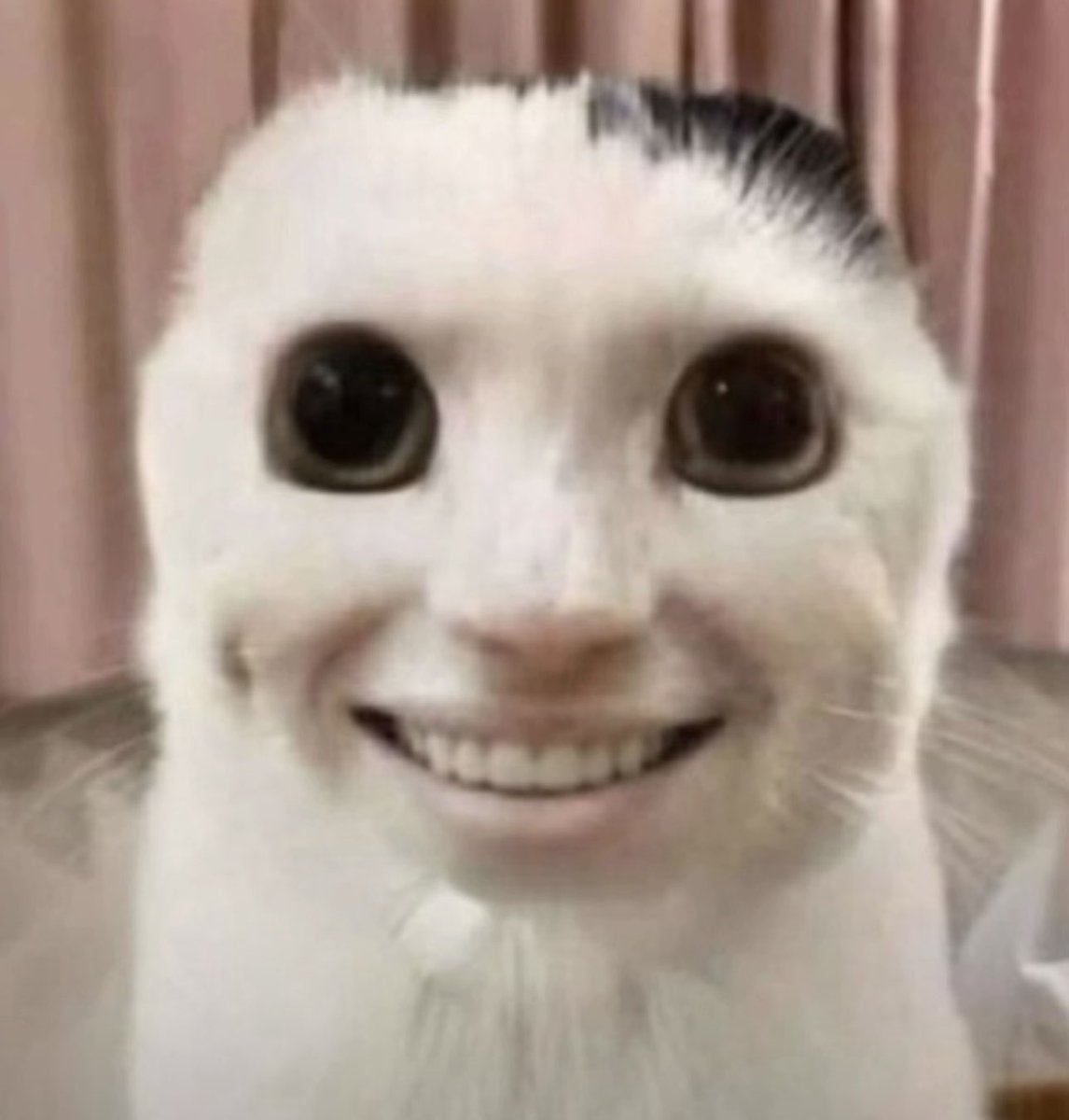 imbaenooo's tweet photo. Je ne suis pas une bent dar, j’ai fait une réaction allergique au savon à vaisselle,
Go faire la folle dehors https://t.co/aEwNUVUK5i