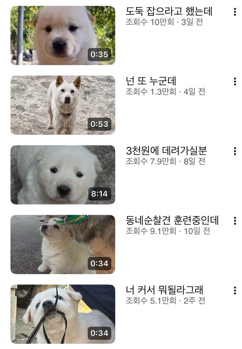 Jamsaengoo's tweet photo. 썸네일 ㅈㅉ 폭력적이다 https://t.co/NAC9fUscR2