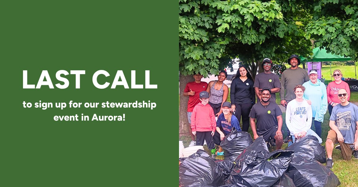 leaf's tweet photo. 🌳Last chance to sign up! Join us at Stewart Burnett Park to remove invasive species and mulch native trees and shrubs on Sunday, June 7 from 10AM to 12PM. 

Sign up: https://t.co/UwUiAydqqI

This event is supported by @CdnTreesforLife and @Town_of_Aurora https://t.co/r79Rpg6S7C
