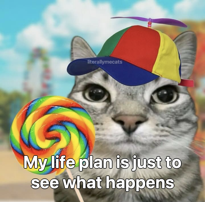 LiterallyMeCats tweet media