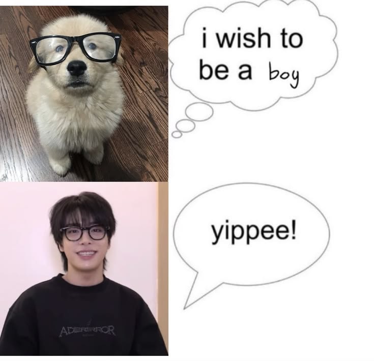 evanssessence's tweet photo. puppyyun https://t.co/3Zb7EouKSC