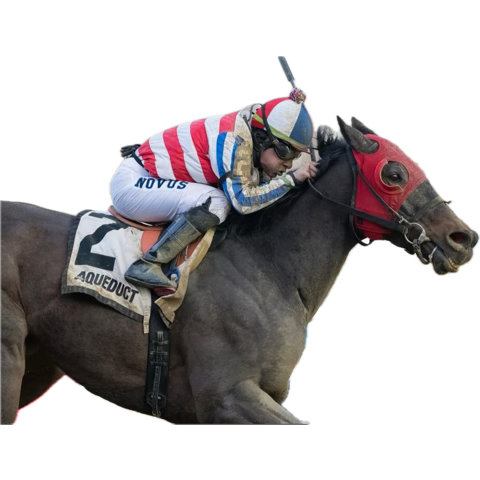NationalTextile's tweet photo. @stoolpresidente @PicksByDynasty Lettttts goooo 
May the Horse be with you https://t.co/JPqmuDuFRR