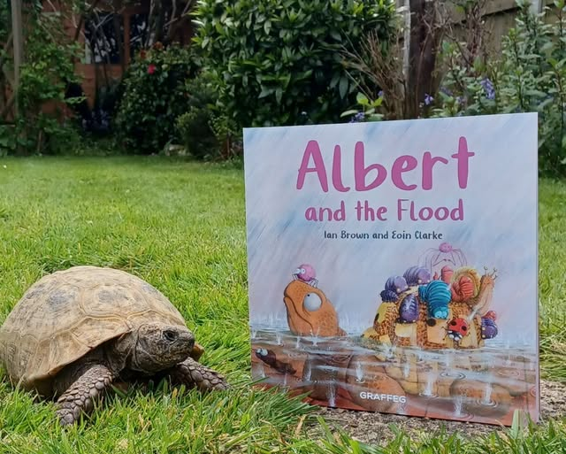 AlbertTortoise's tweet photo. Heavy #rain interrupts the #garden #games. Albert and the garden gang need #teamwork to find #safety. See more in #ALBERTthetortoise picturebook ALBERT AND THE FLOOD. #AvailableNow 9 #ALBERT #picturebooks, 3 #BoardBooks & #ActivityBook https://t.co/sGYhBlFUhP
#tortoise #flood https://t.co/EXnAlrfoqg